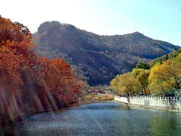 新澳天天开奖资料大全旅游团，早餐第一步